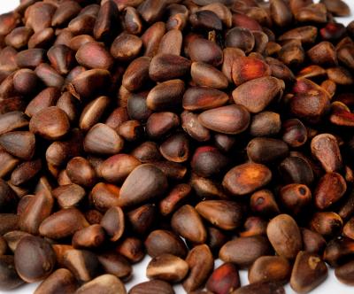 Buy Pure Kanikkona Seed – Health Benefits and Uses | Sri Herbal